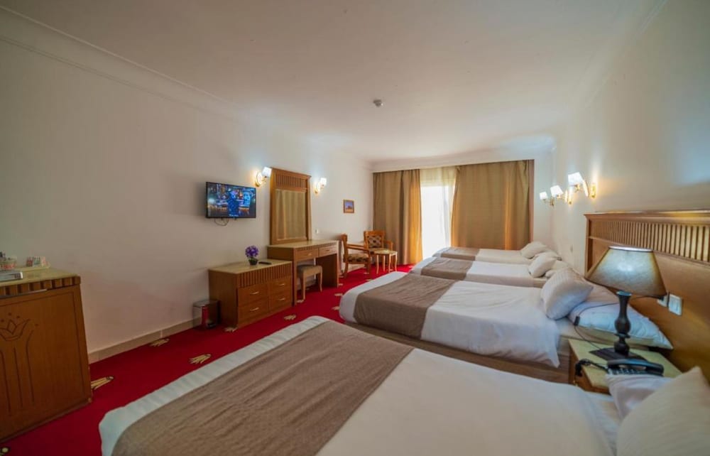 Regency Pyramids View Hotel 26/57