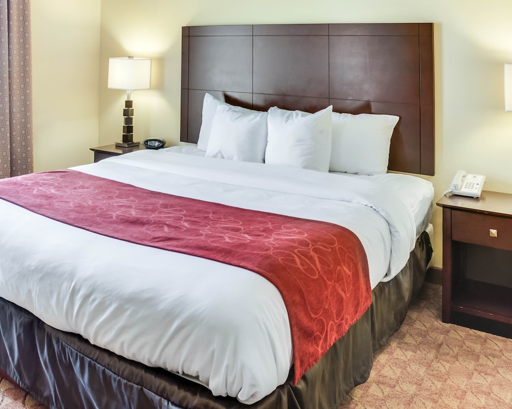 Comfort Suites Suffolk Chesapeake 12/47