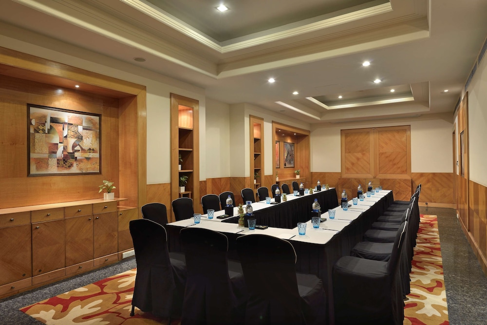 Park Plaza Gurugram 53/66