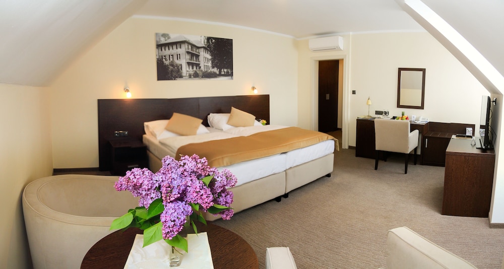 SPA HOTEL PRO PATRIA 8/29