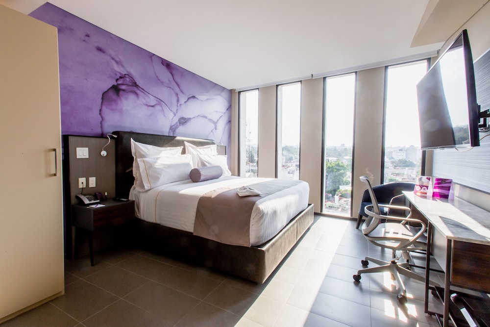 HS HOTSSON Hotel CDMX Condesa Sur 9/50