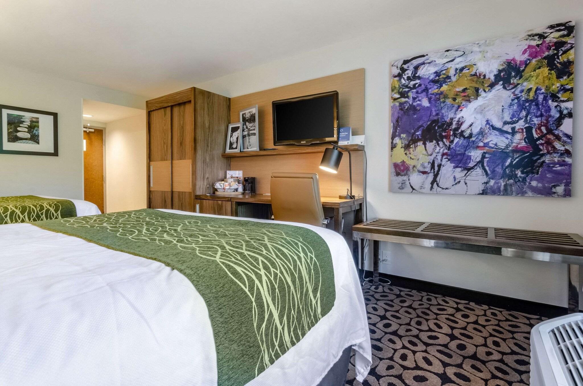 Room, Queen Bed