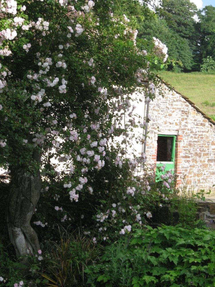 Hollamoor Farm B&B 40/50