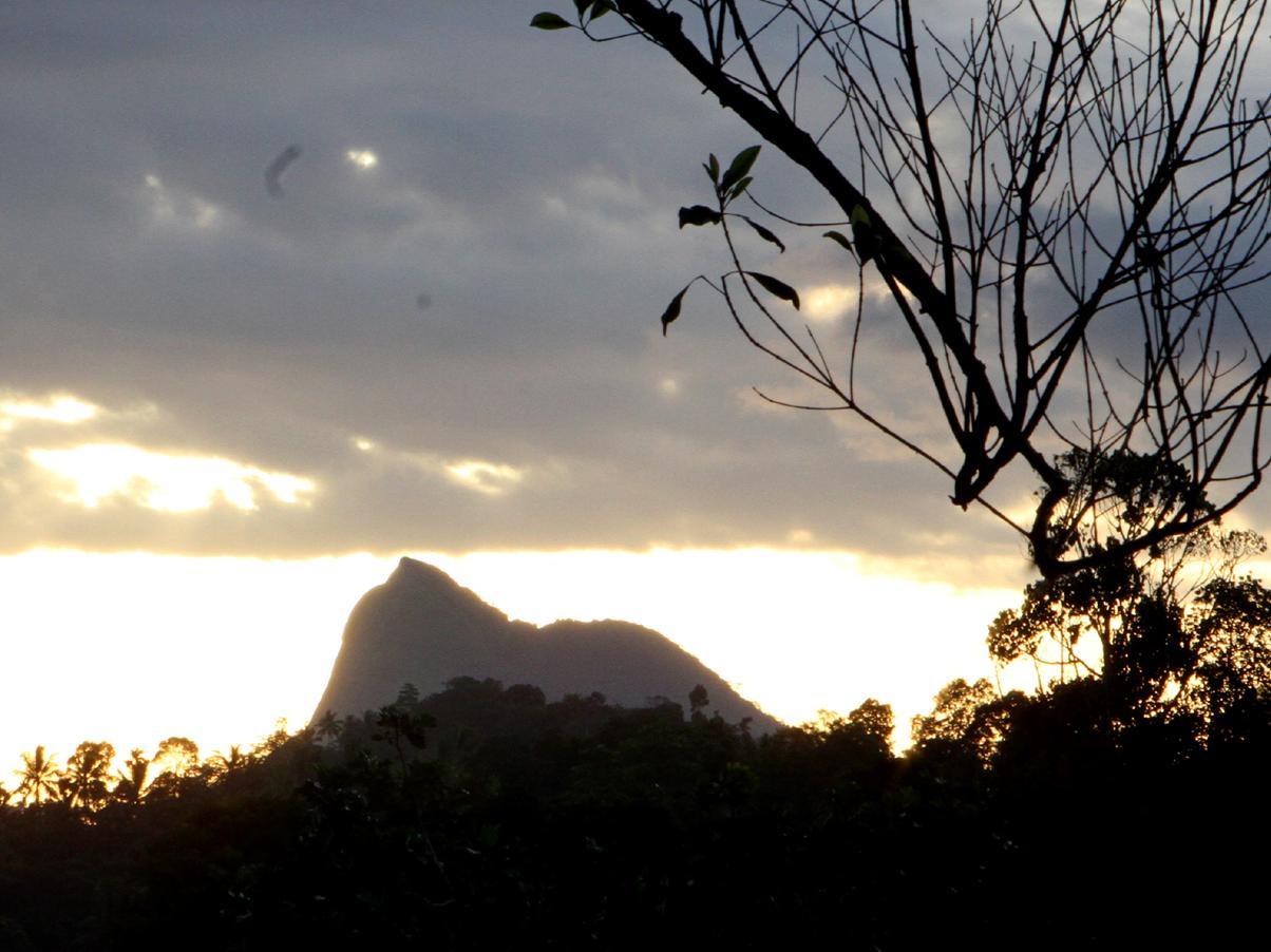 Peradeniya Rest Inn 12/16