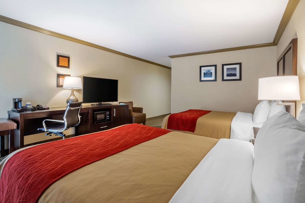 Comfort Inn Castro Valley CA 13/39