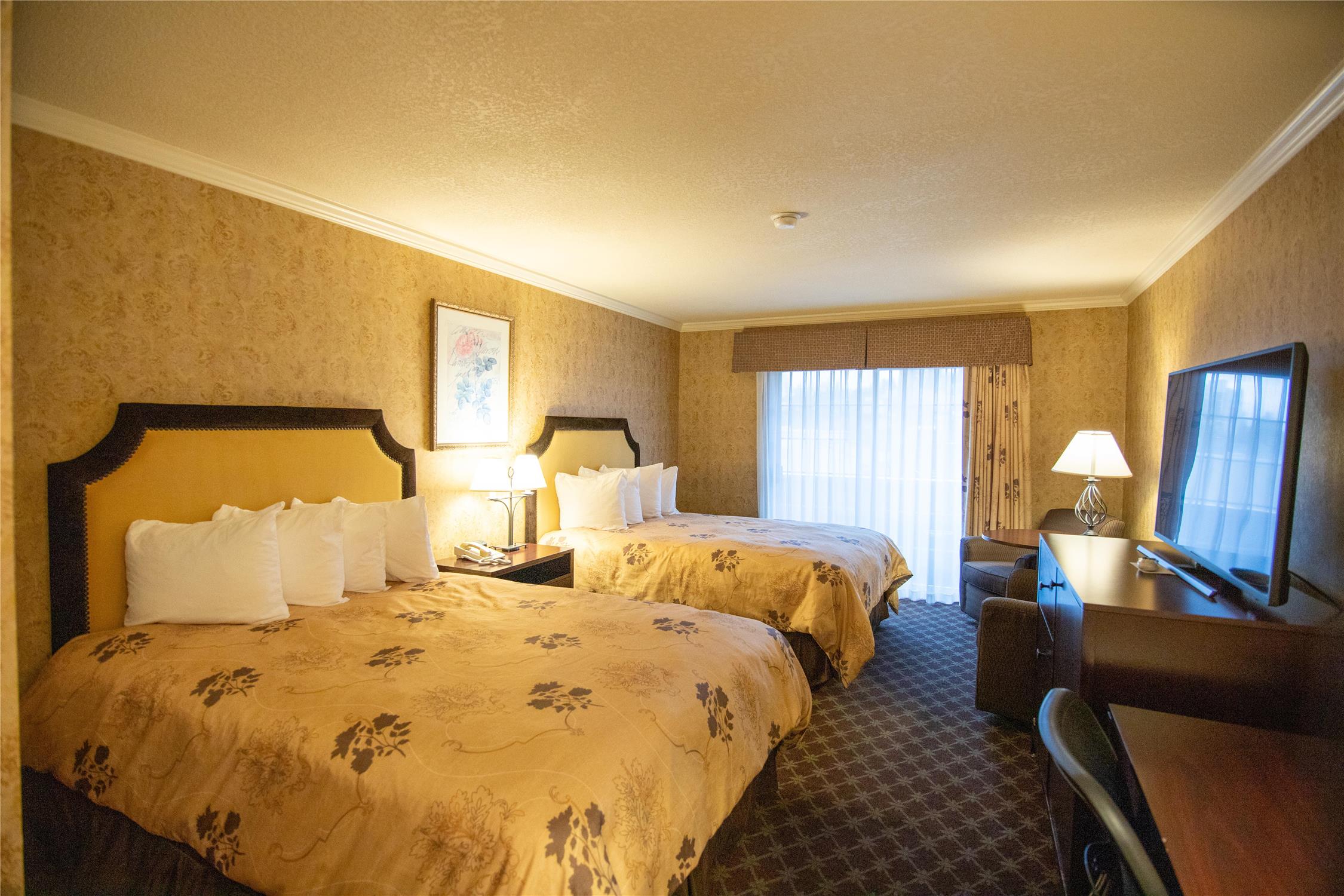 2 Rooms, Family, Suite, Murphy Bed, 2 Queen Beds