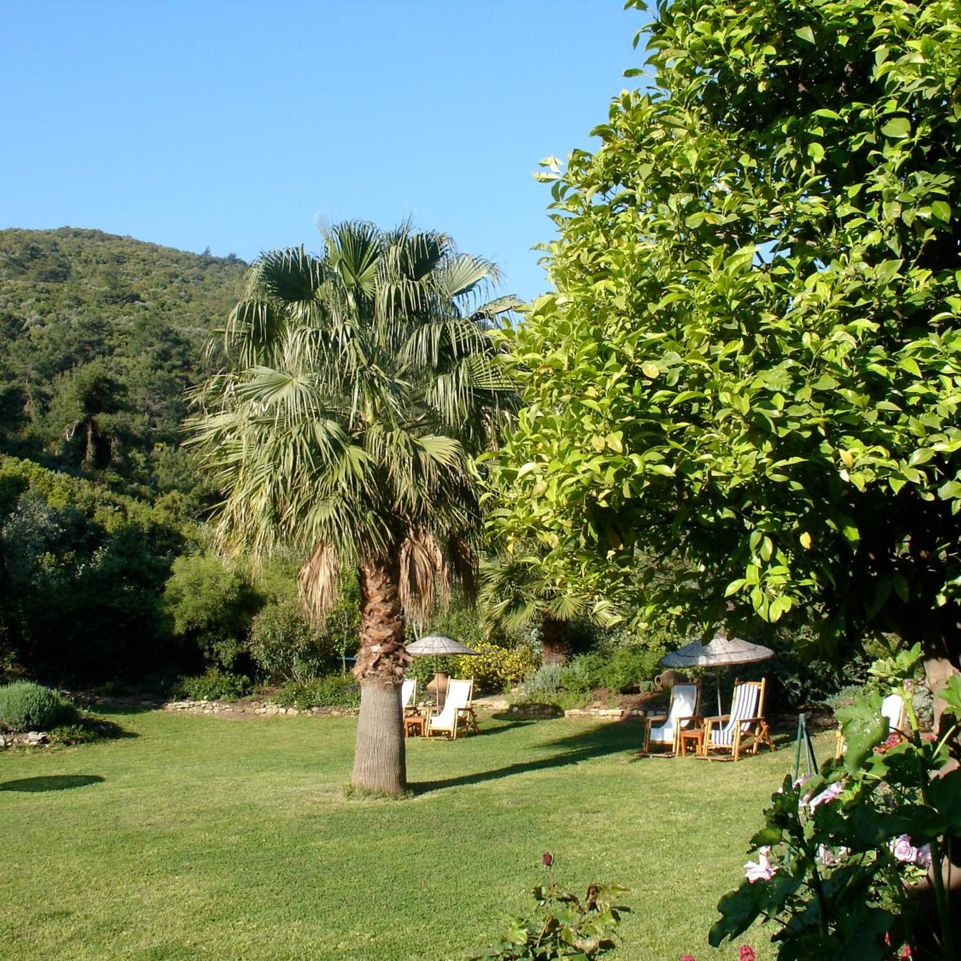 Emel Pension 48/50