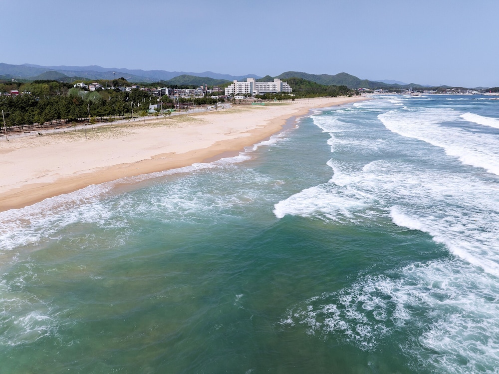 Ocean To You Resort Sokcho Seorak Beach Hotel And Condo 16/17