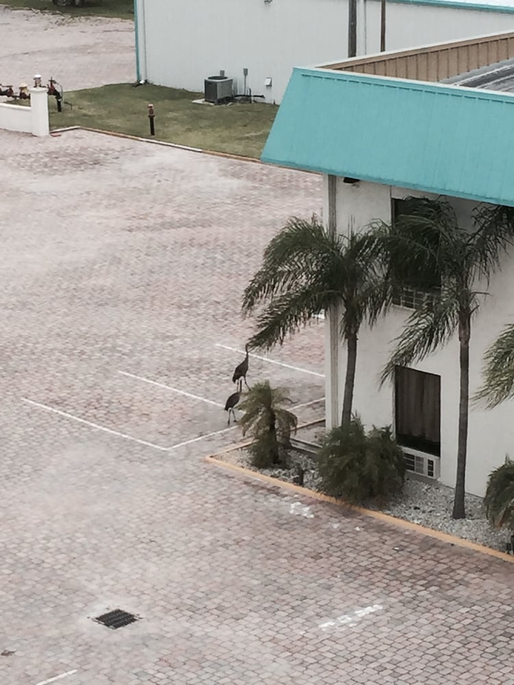 Days Inn & Suites by Wyndham Lake Okeechobee 47/50