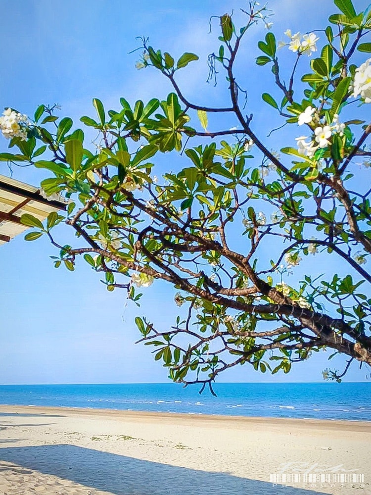 Purimuntra Resort And Spa 36/50