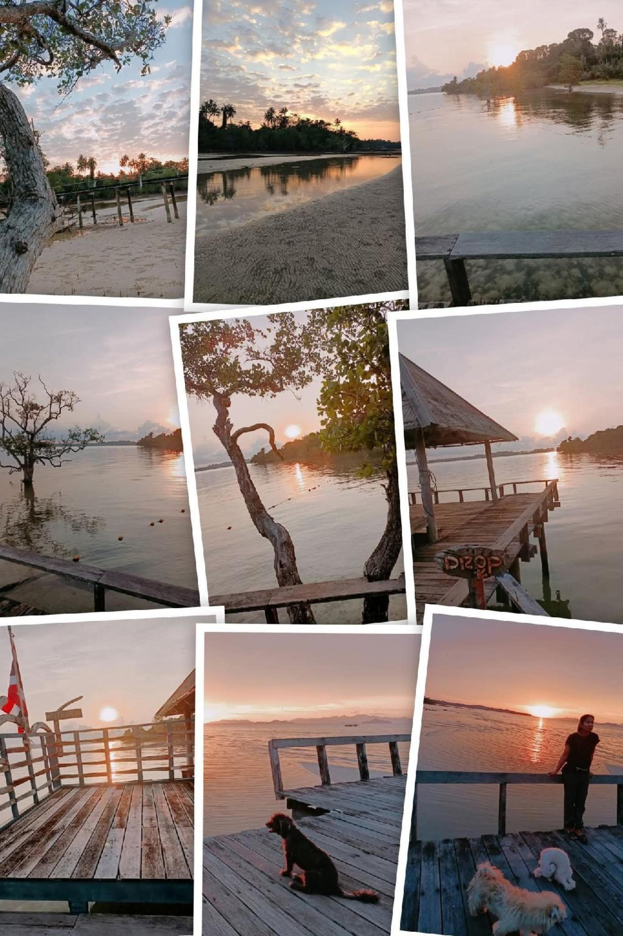 The Cinnamon Art Resort And Spa 4/22