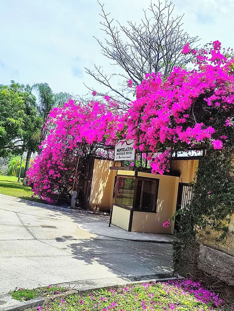 Montelaguna Boutique Hotel 2/50