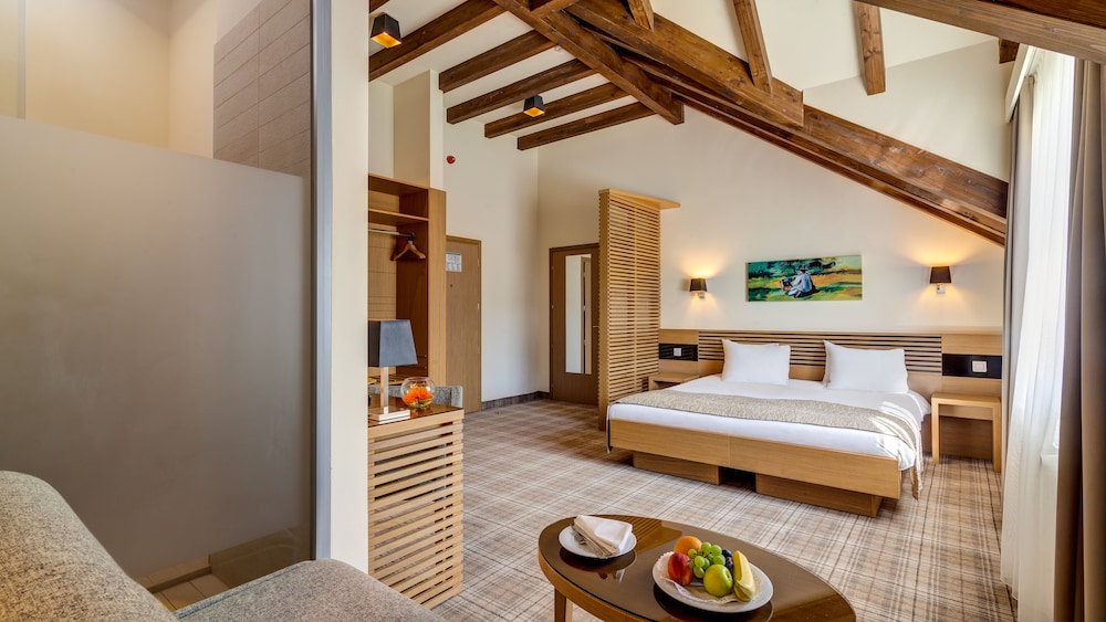Ana Hotels Sport Poiana Brasov 11/33