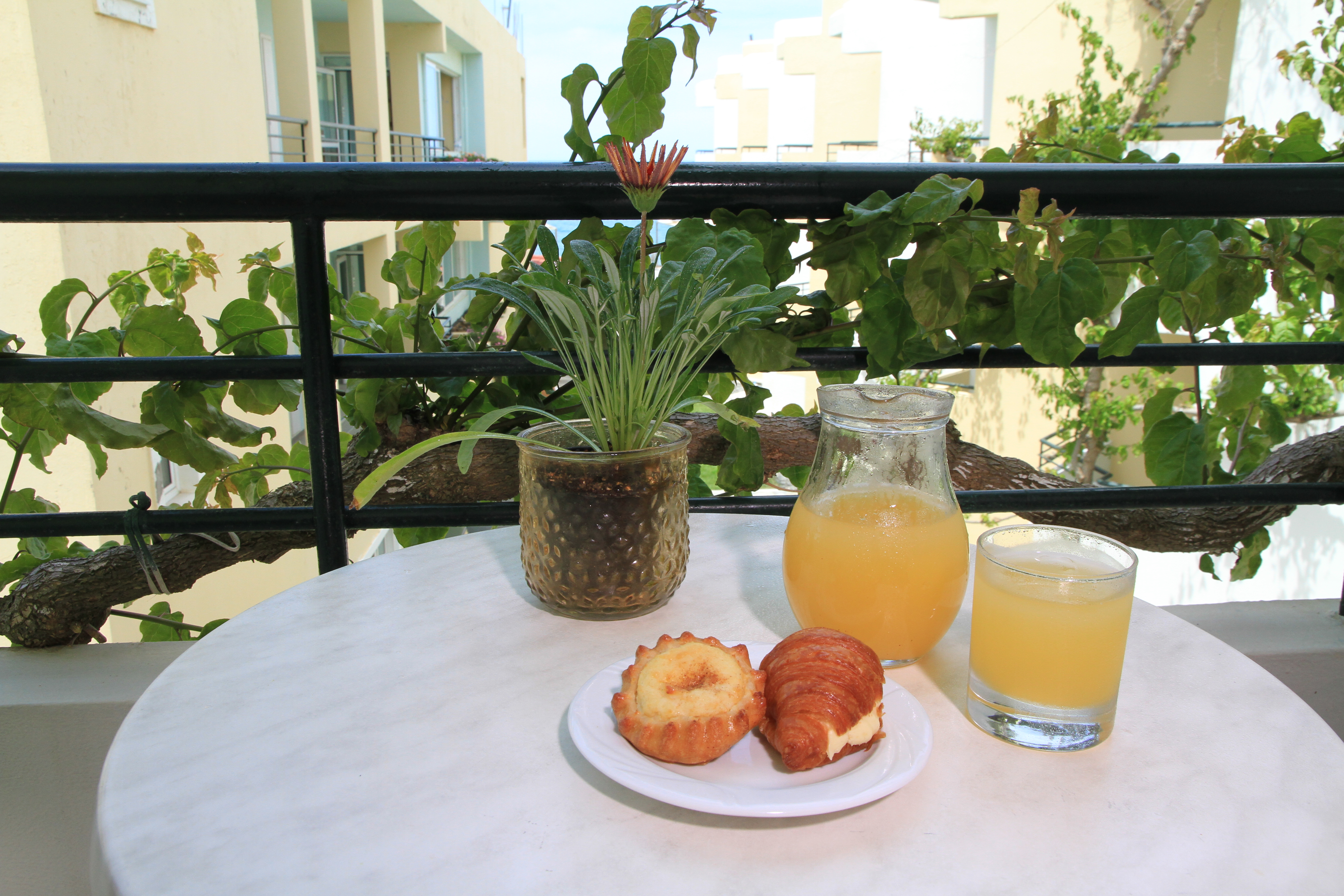 Dedalos Beach Hotel 34/50