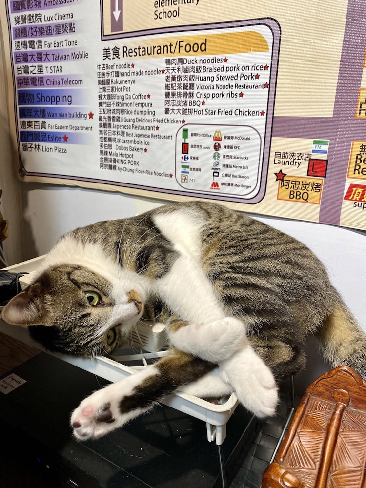 Ximen Triple Tiger Hostel 25/50