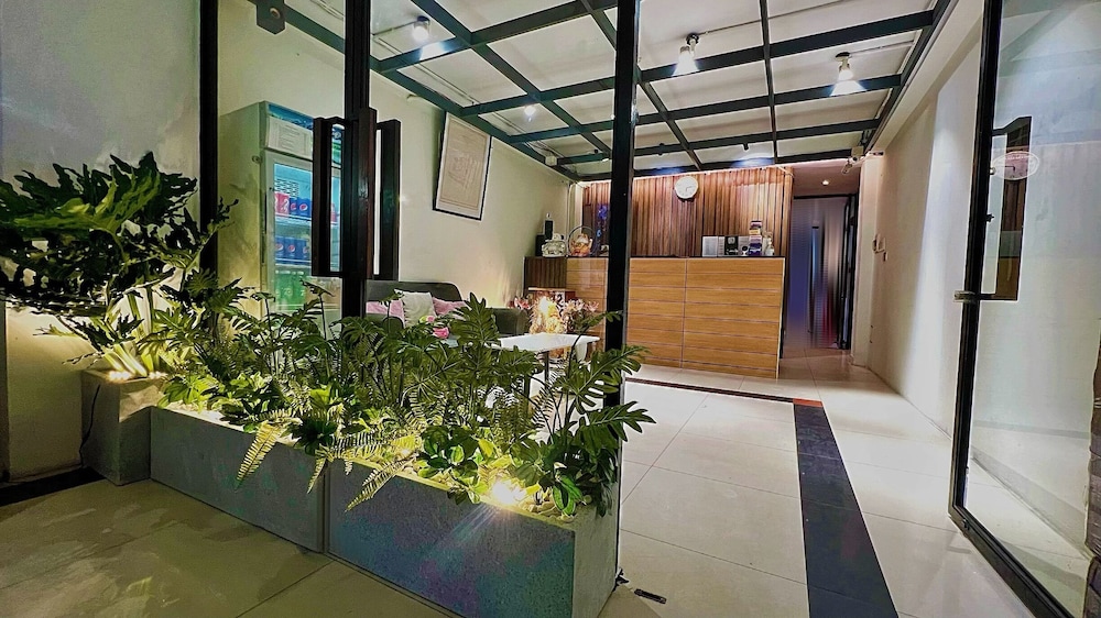 HOANG PHI HOTEL 3/50