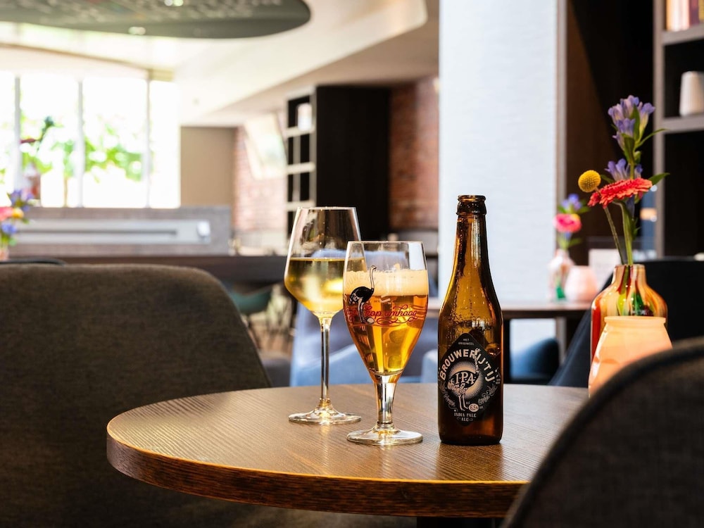 阿姆斯特丹市立歌剧院宜必思酒店(Ibis Amsterdam Centre Stopera) 图片3