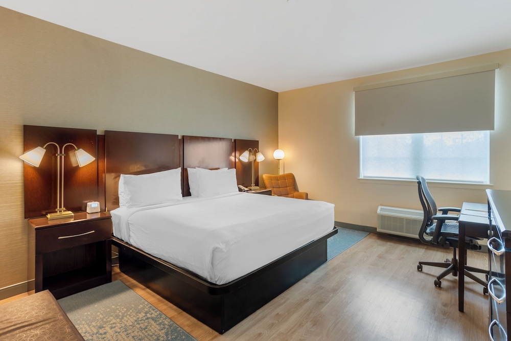 Standard, King Bed, Accessible