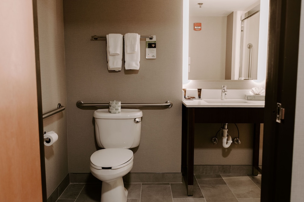 Wingate by Wyndham Chantilly / Dulles Airport 16/48