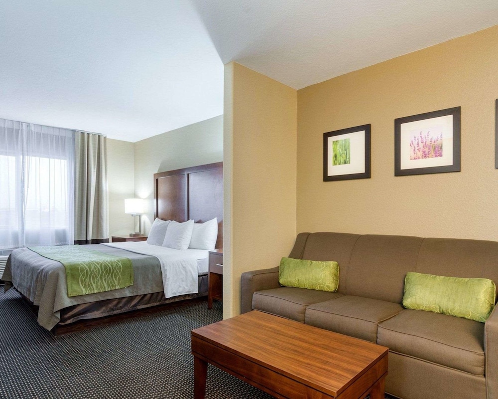 Upgrade, Suite, King Bed, Sofa