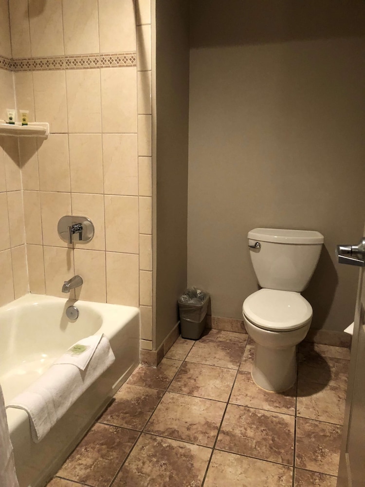 Hawthorn Extended Stay by Wyndham Killeen 22/48
