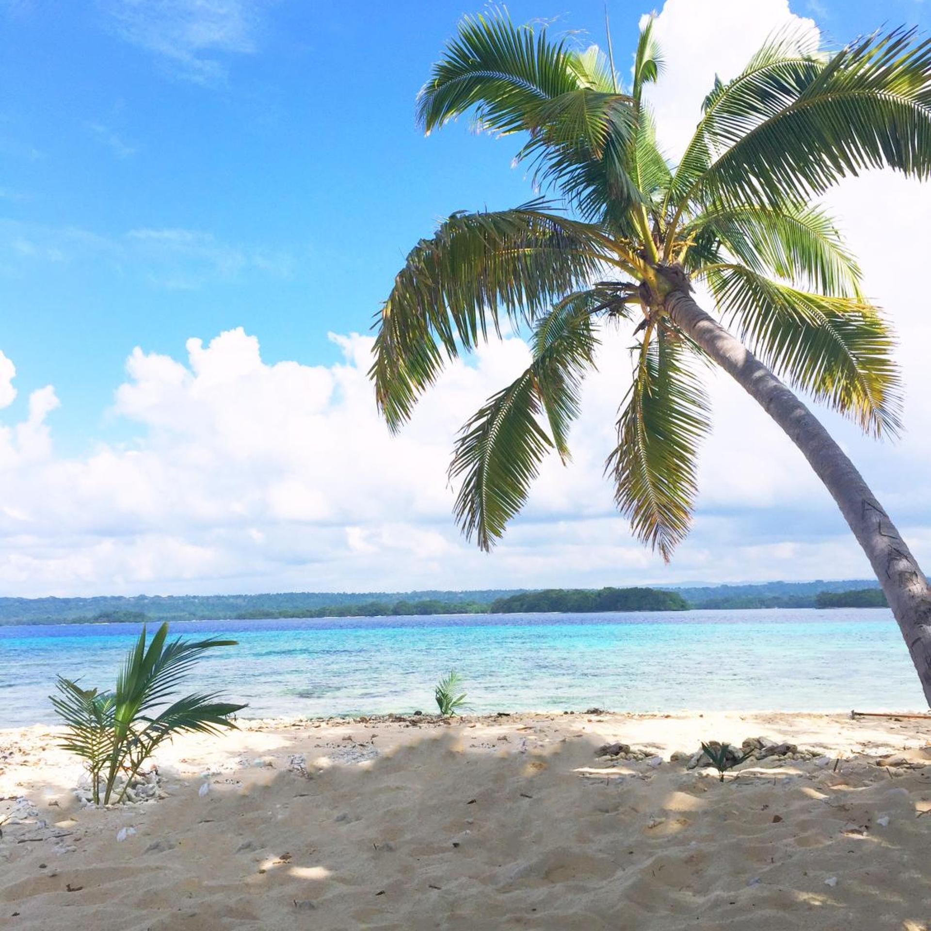 Dany Island Eco Resort 37/50