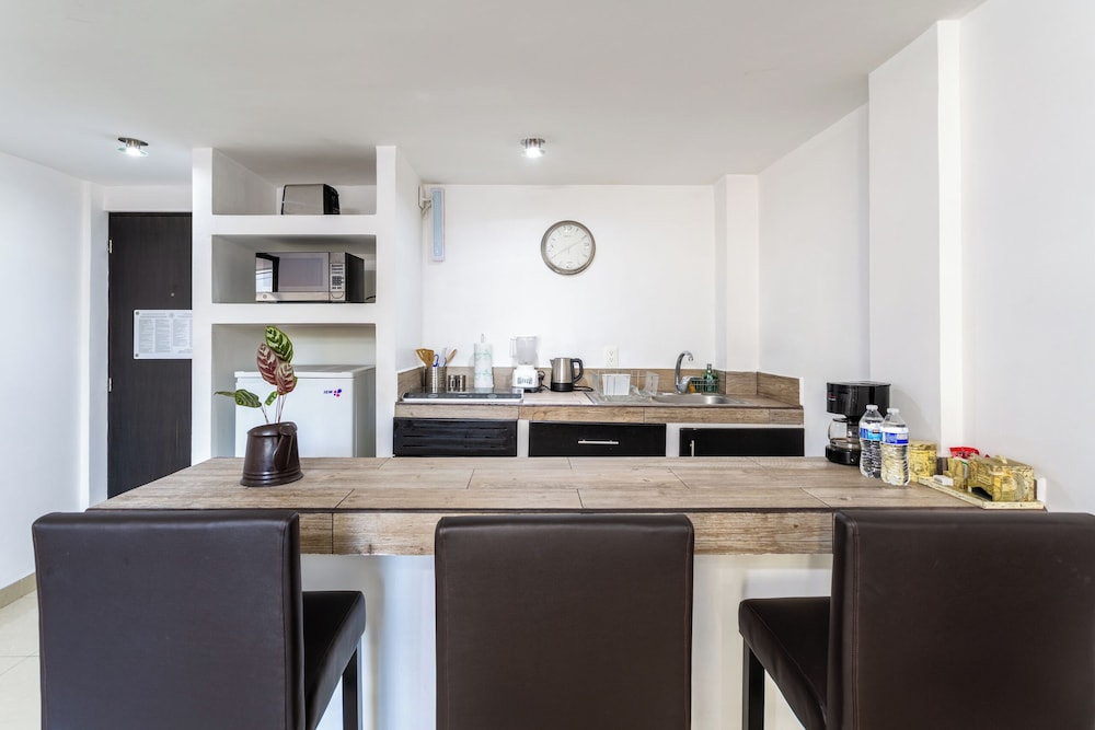 Suites259 36/51