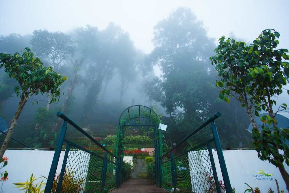 MISTY MOUNTAIN RESORT 4/64
