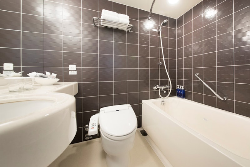 Richmond Hotel Premier Musashikosugi 28/28