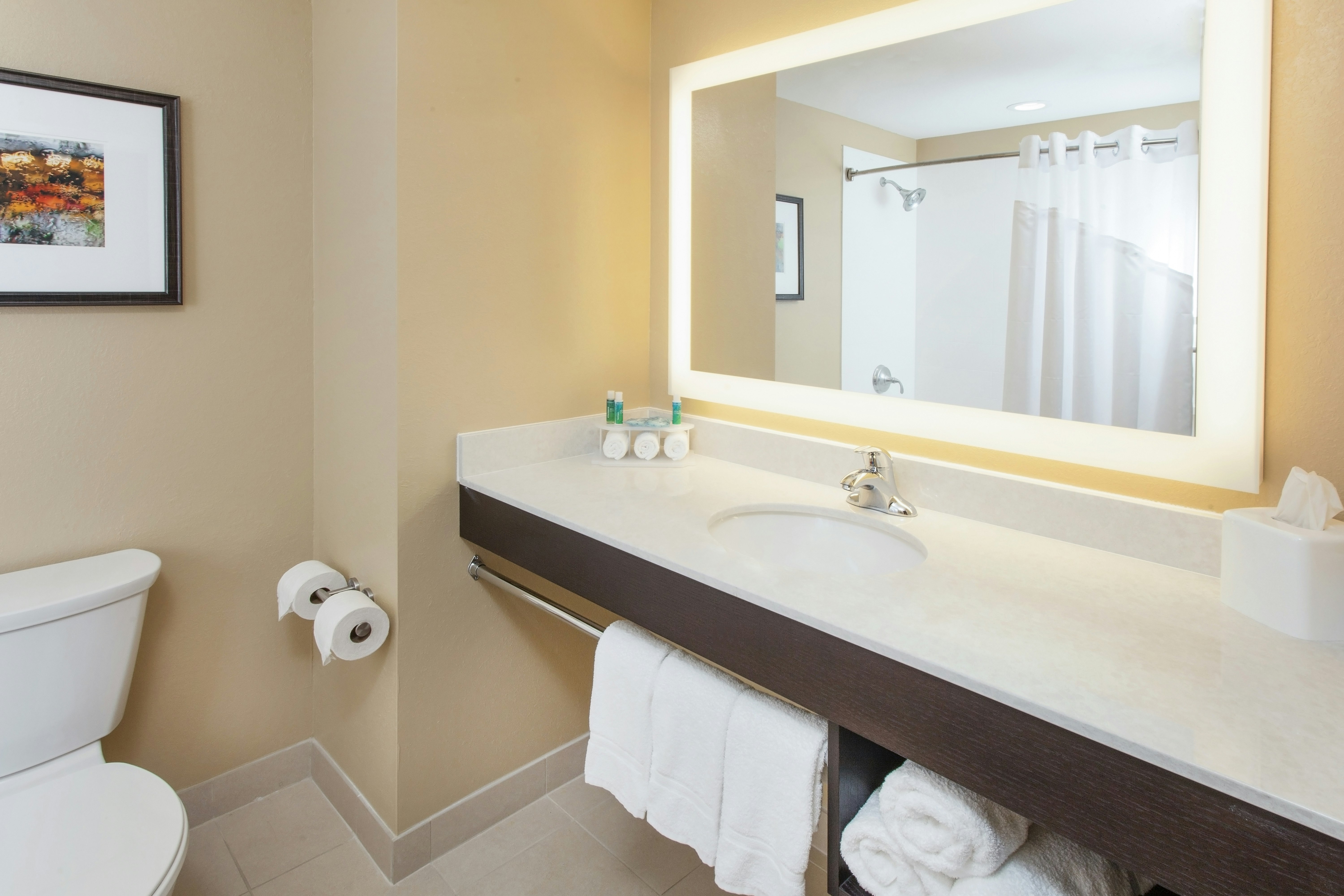 Holiday Inn Express Suites Sandusky 41/42