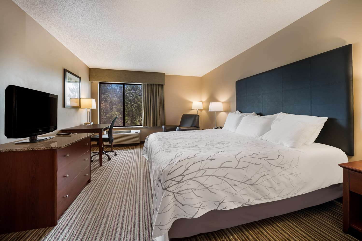 Room, King Bed