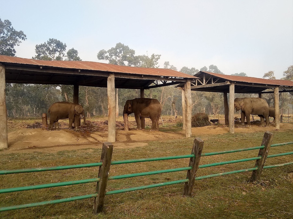 Green Park Chitwan 59/66