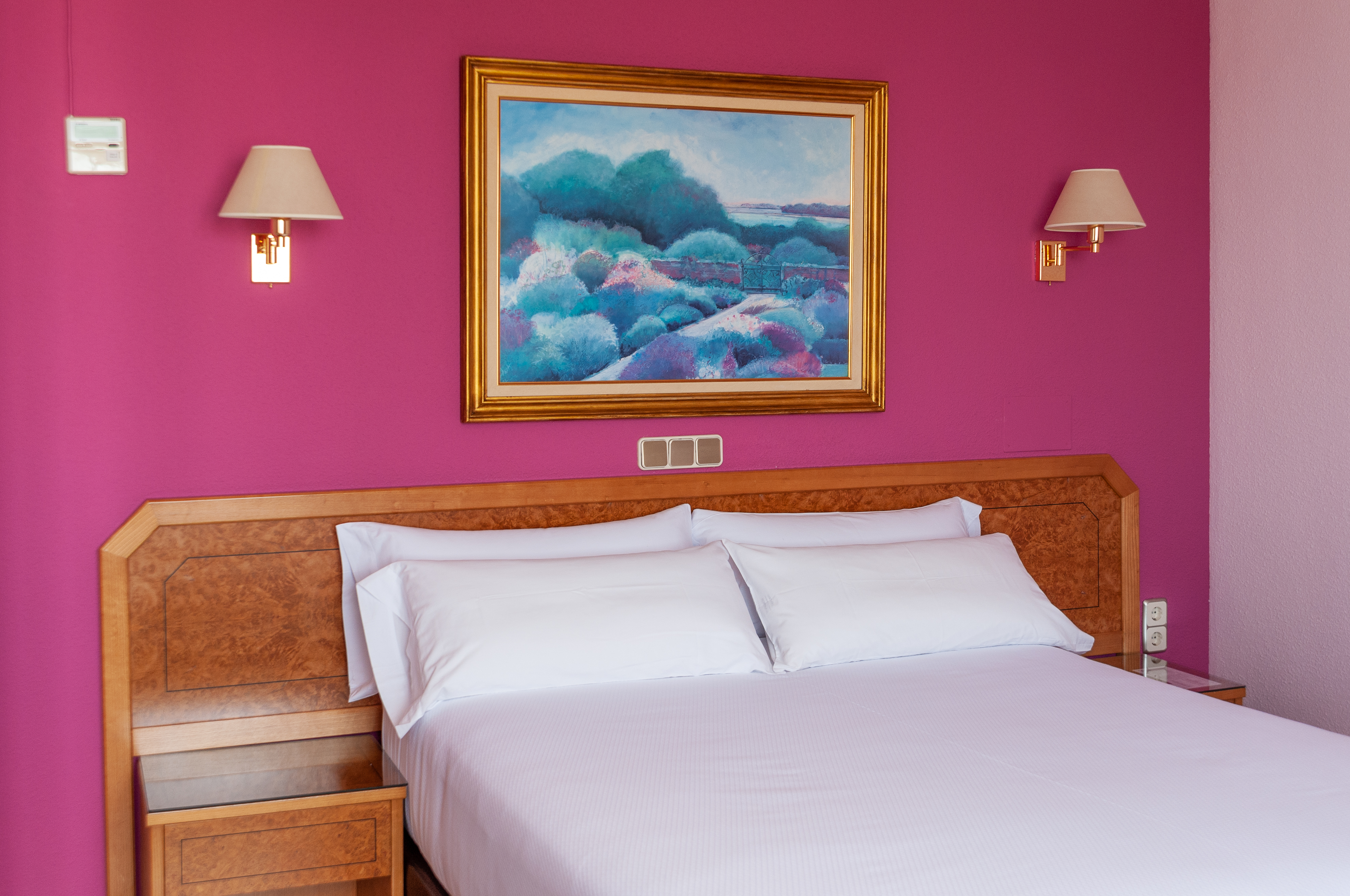 Hotel Don Carmelo 23/60