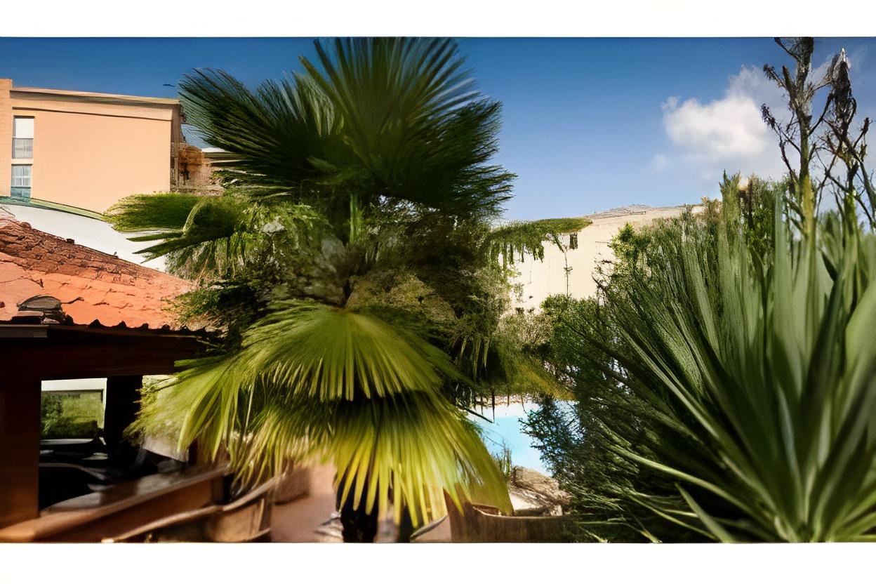 SUITE BOULEVARD VIEW