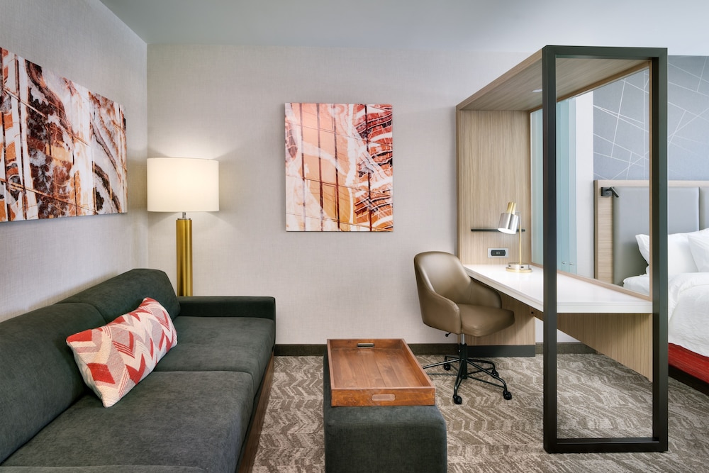 Springhill Suites By Marriott Grand Island 19/46