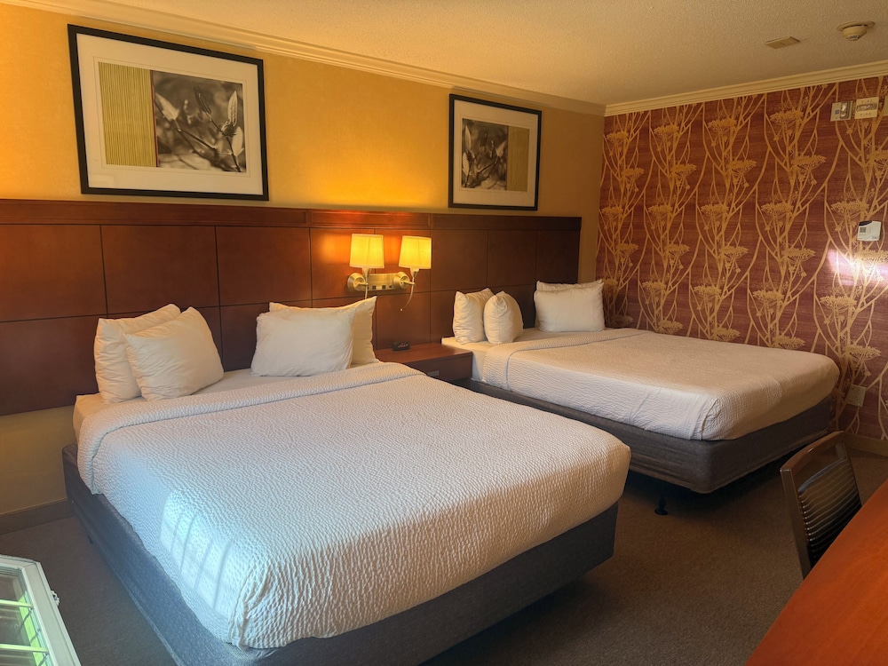 Boston Woburn Burlington Hotel 13/49
