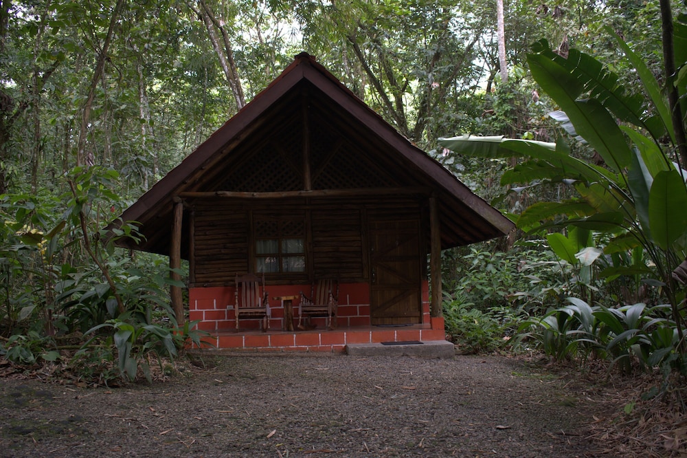 Arenal Oasis 8/50