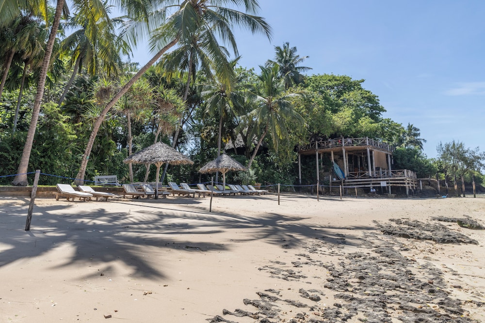 Jungle Paradise Beach Resort & Spa Mbweni Ruins 33/50