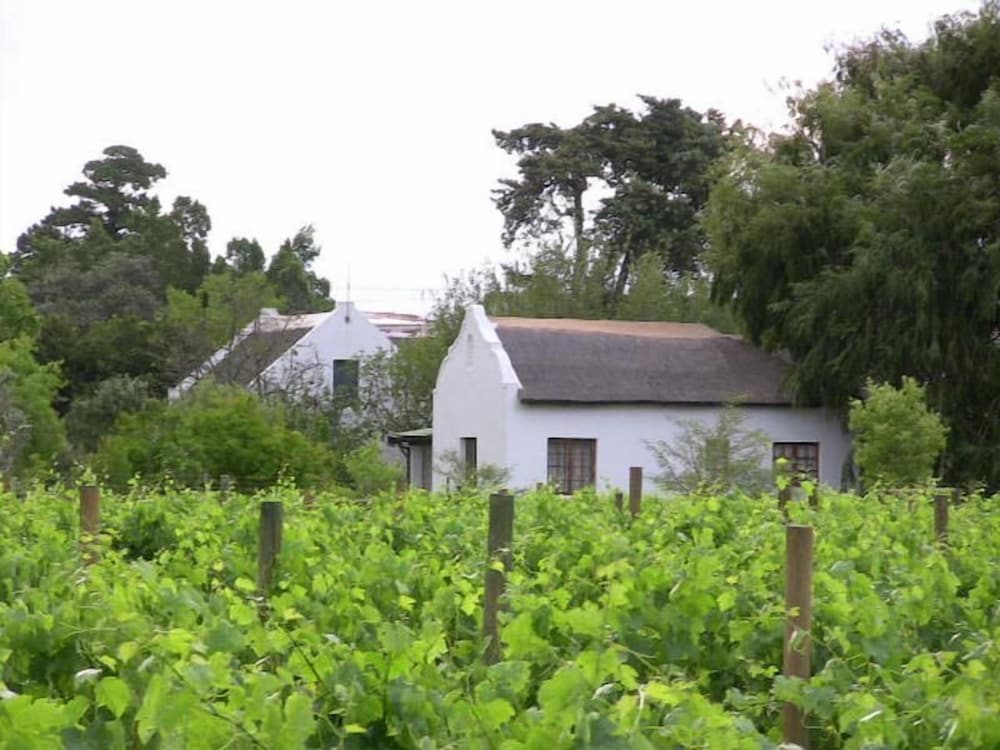 De Doornkraal Vinotel 29/35