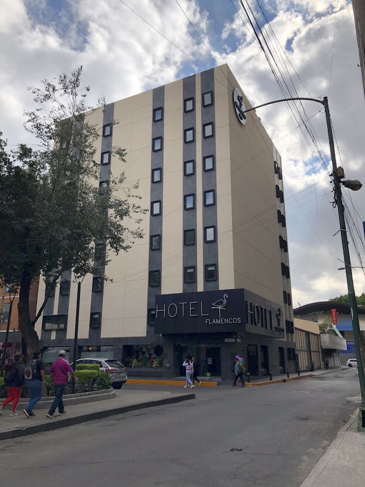 Hotel Flamencos 2/50