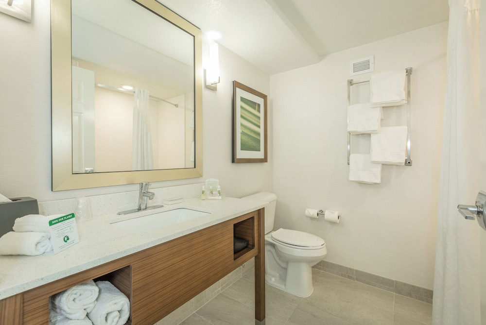 Holiday Inn Hotel Suites Peachtree City 70/70