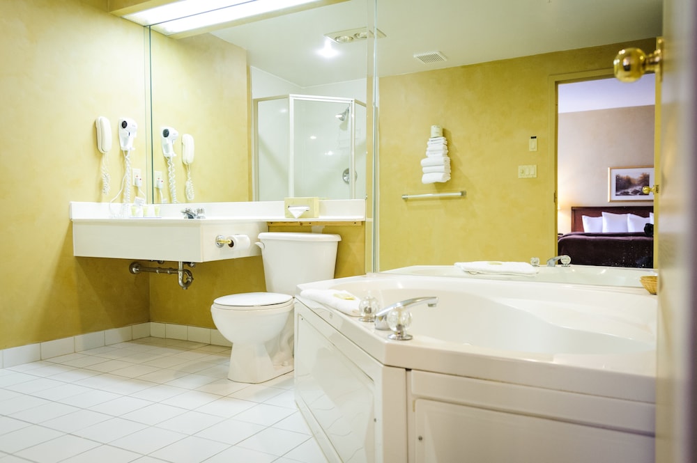 Peterborough Inn & Suites Hotel 64/64