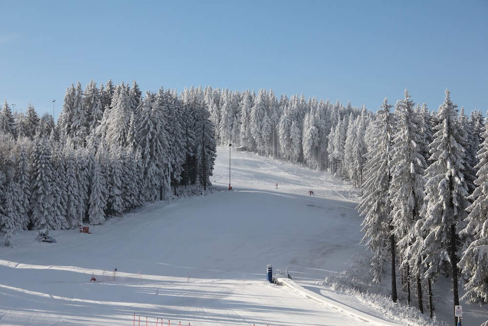 Waldhotel Berghof 37/46