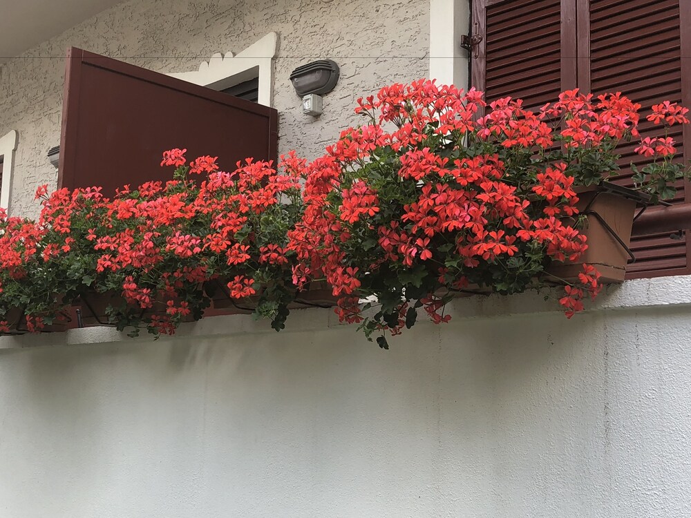 Garnì Villa Betty 41/50