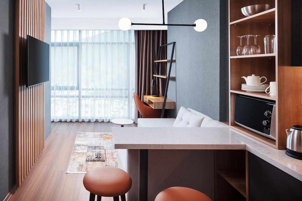 Residence Inn by Marriott Istanbul Atasehir 35/36