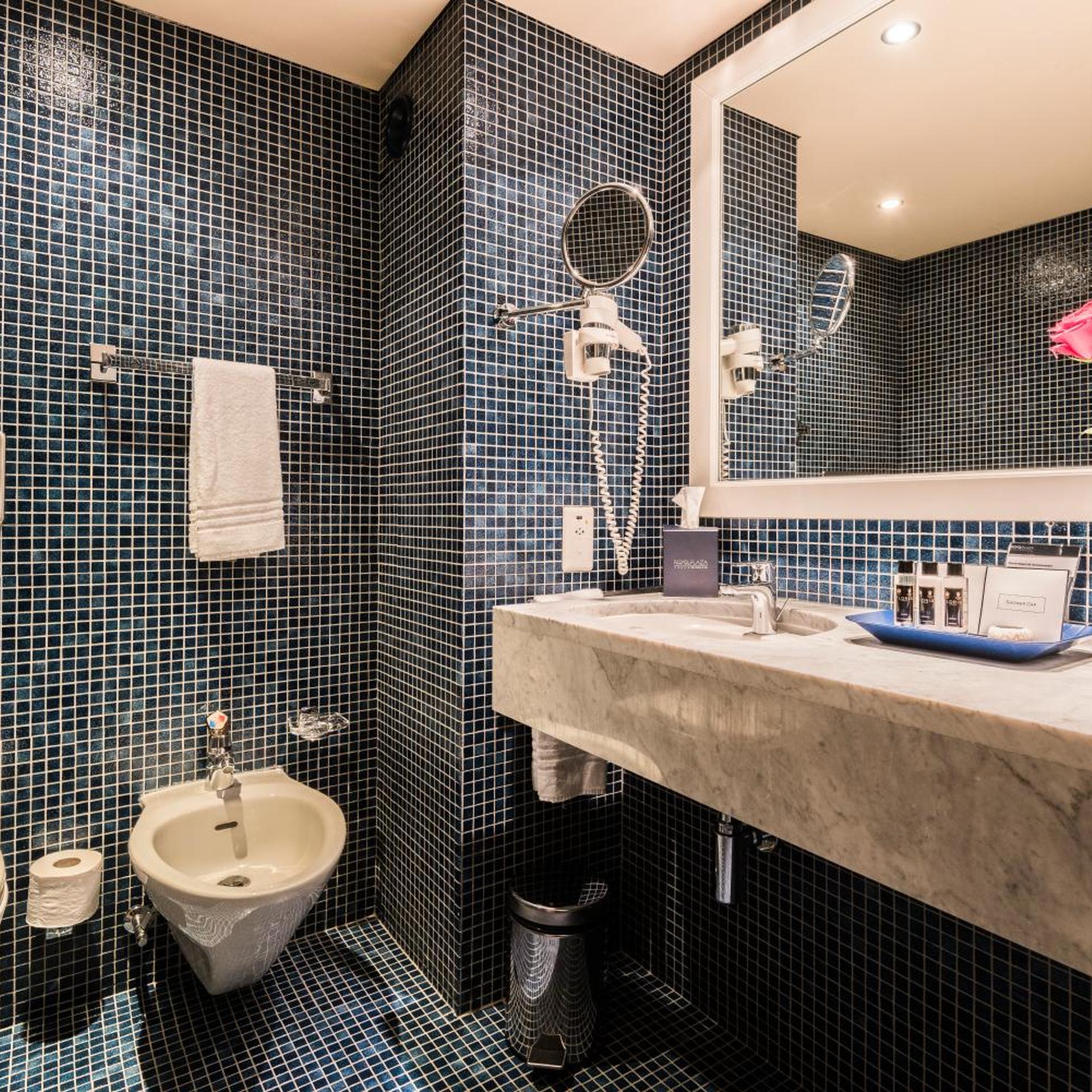 Park, Deluxe, Double Bed, Lake or Park View, Balcony، Royal Plaza Montreux Hotel 8/8