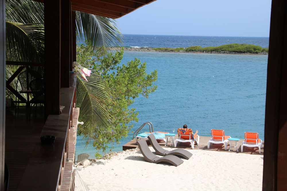 Coral Reef Beach Aruba 44/50