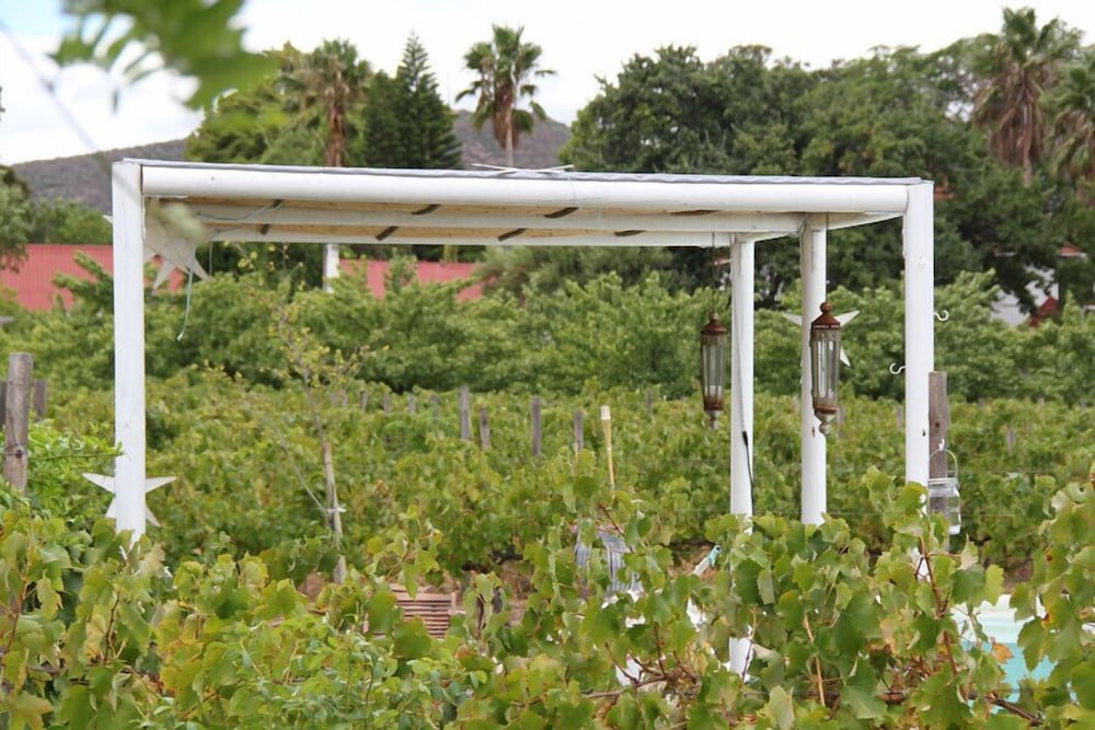 The Vineyard Country House 33/38