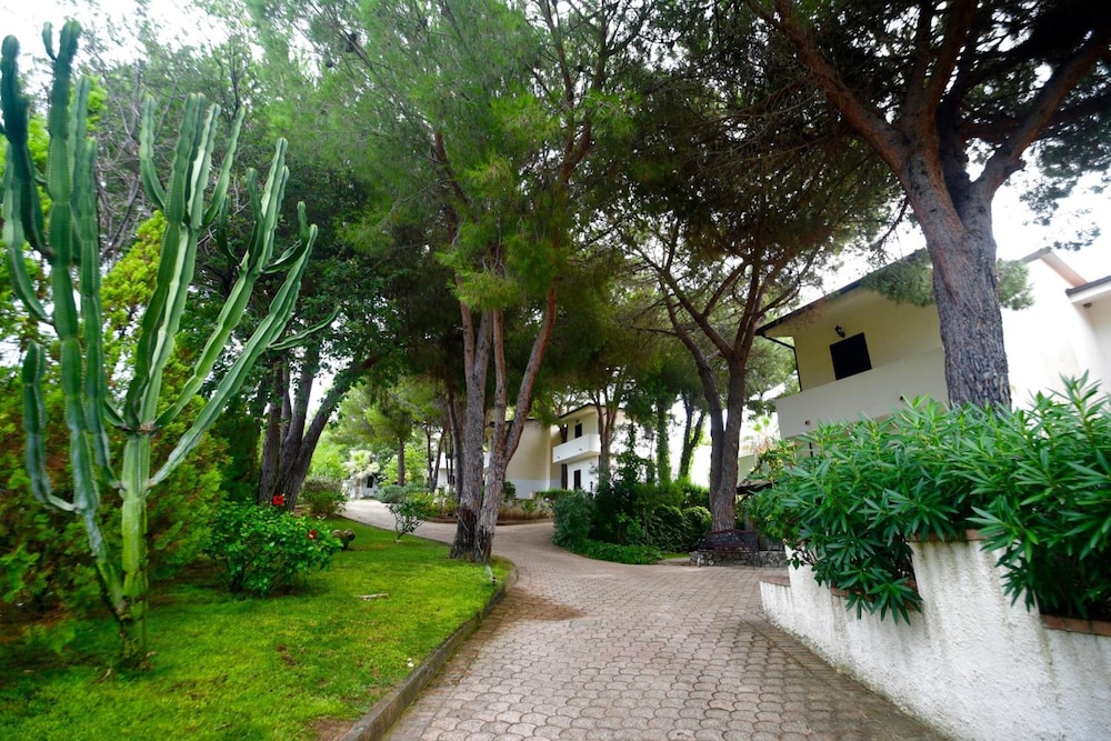 Villaggio Pineta Petto Bianco Hotel 48/60