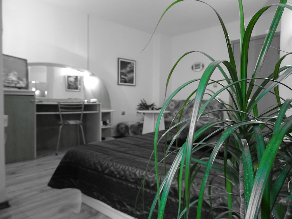 Hotel Color Varna Center 6/54